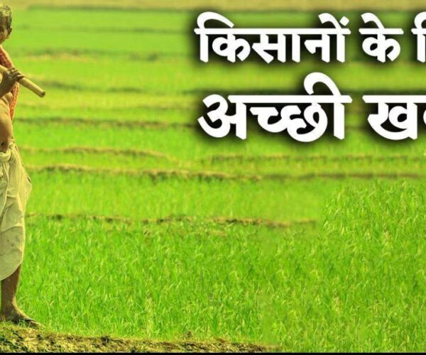 mp-mein-kisaanon-ko-bampar-saugaat