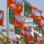 मध्‍य प्रदेश में भाजपा अनुसूचित जनजाति मोर्चा के 11 जिला अध्यक्षों की घोषणा