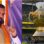 IPL में बिहार की टीम भी आएगी? मुख्यमंत्री ने बीच सीजन दिया ऐसा बयान, मच गई हलचल