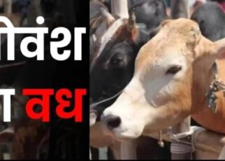 bhopal-govansh-vadh-mamla-kore