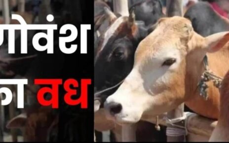 bhopal-govansh-vadh-mamla-kore