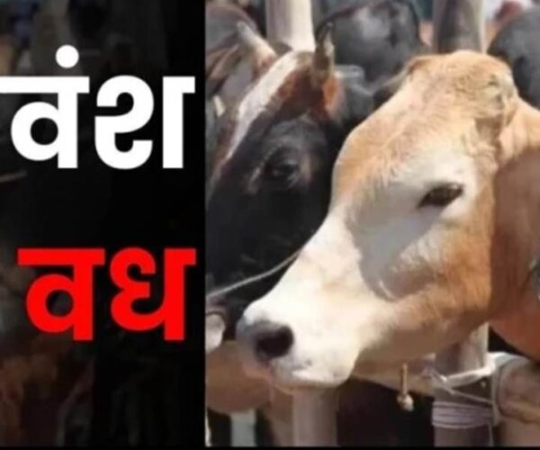 bhopal-govansh-vadh-mamla-kore