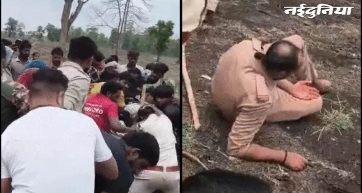 14-21-lakh-ekad-van-bhumi-par-bhu-maf