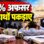 एमपी में 91% अफसर रंगे हाथों पकड़ाए! जानिए किस योजना में हुआ सबसे बड़ा खेल और किन पर गिरी गाज