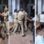 हबीबगंज थाने के अंदर पुलिस से झूमाझटकी, निगरानीशुदा बदमाश और उसके साथियों का हंगामा; वीडियो हुआ वायरल